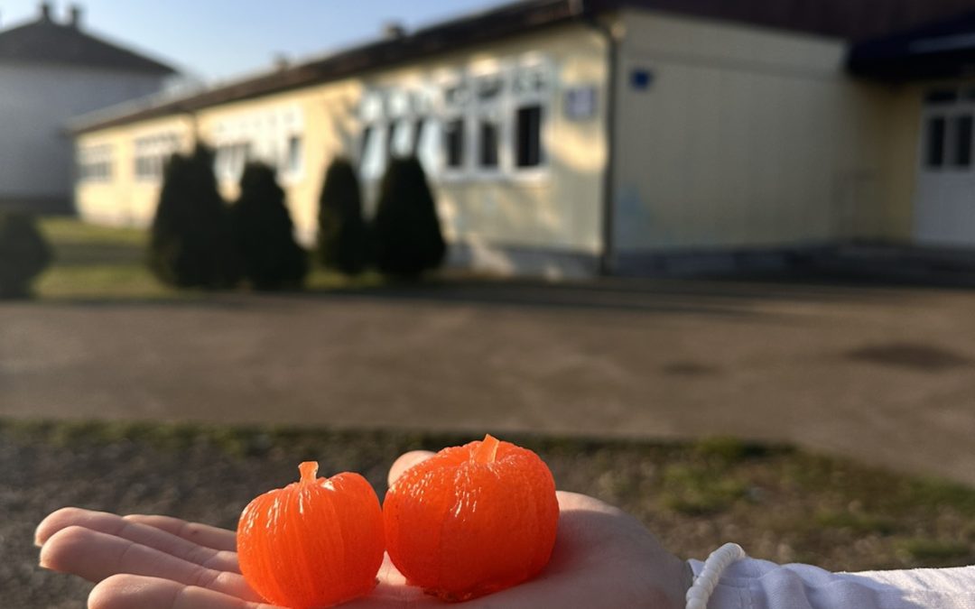 Рад хемијске секције у првом полугодишту 2025/2026. године